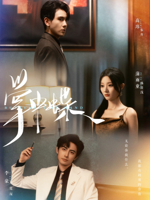 掌中蝶（84集）不要钱也能看完整部短剧