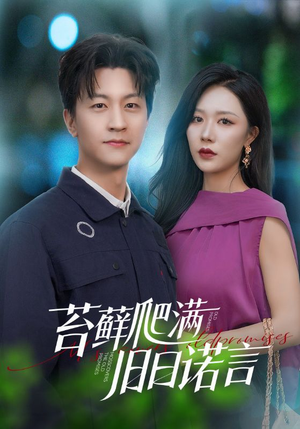 情途难负（83集）好看的短剧太好看了