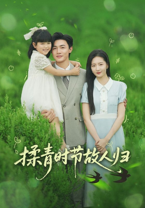 揉青时节故人归（60集）上头短剧一口气追到大结局