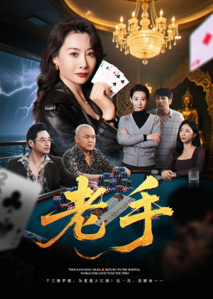 老手（36集）口碑之选短剧免费看