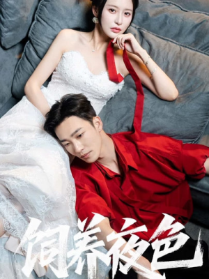 饲养夜色（86集）短剧在哪个平台