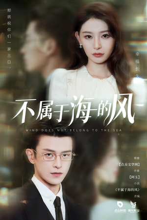 不属于海的风（40集）短剧分享关注我一起追剧