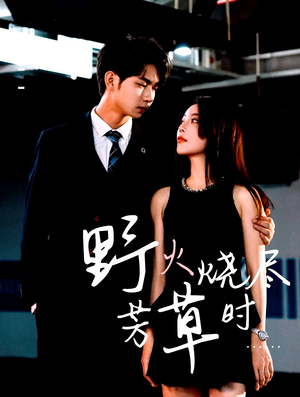 野火烧尽芳草时(65集) 野火烧尽芳草时(65集)在线免费观看热门短剧