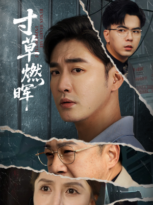 寸草燃晖(70集) 寸草燃晖(70集)火爆热播短剧抢先看全集