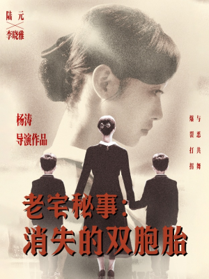 老宅秘事消失的双胞胎（90集）深夜短剧推荐精彩片段