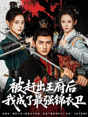 被赶出王府后我成了最强锦衣卫（80集）不用花钱看全剧的短剧平台
