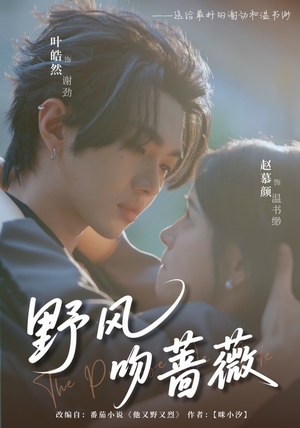 野风吻蔷薇（78集）好看又上头的热播短剧推荐