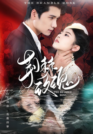 荆棘玫瑰(56集) 荆棘玫瑰(56集)经典老剧短剧免费看