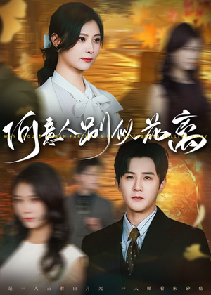 何意人别似花离（61集）比较好看的短剧推荐