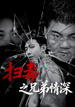 扫毒之兄弟情深（50集）全部免费看短剧的网站汇总