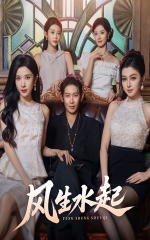 风生水起（71集）下崽红果短剧免费看全集