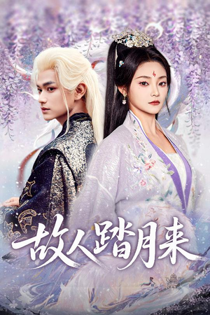 故人踏月来（60集）百亿短剧好看计划