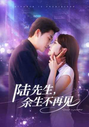 陆先生，余生不再见（88集）最新短剧火爆来袭