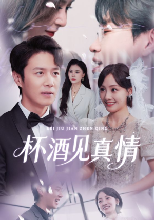 杯酒见真情(68集) 杯酒见真情(68集)短剧视频变现上热门