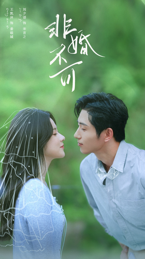 非婚不可（65集）好看又上头的短剧免费