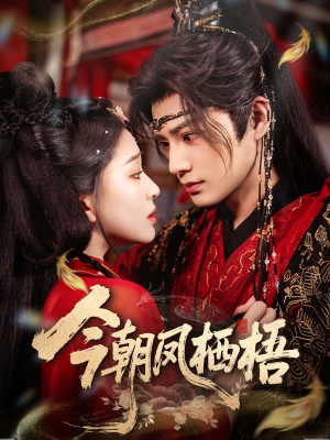 今朝凤栖梧(68集) 今朝凤栖梧(68集)短剧推荐正在热播