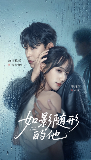 如影随形的他（30集）每天更新精彩短剧