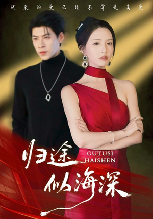 归途似海深（61集）河马短剧免费看全集