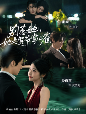 别惹她，她是贺爷掌心雀（69集）短剧终极大结局合集