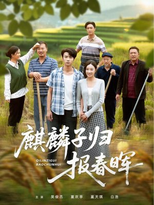 麒麟子归报春晖（36集）全集短剧我都看完了