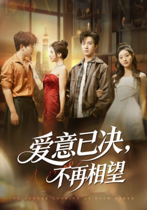 爱意已决不再相望（70集）排行榜前十的短剧推荐