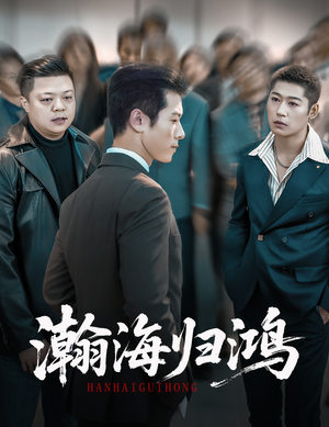 瀚海归鸿(74集) 瀚海归鸿(74集)免费短剧完整版在线观看