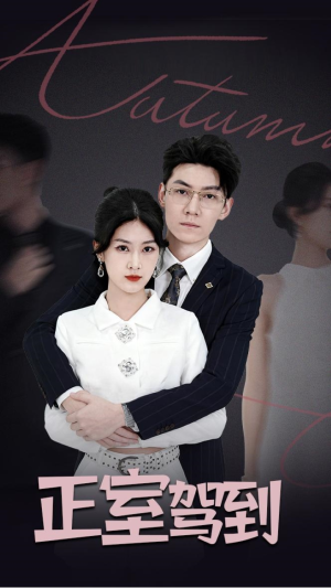 正室驾到（35集）热播短剧停不下来