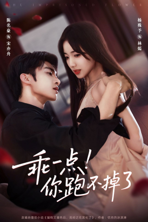 乖一点！你跑不掉了（85集）爆款短剧正在热播