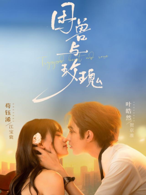 困兽与玫瑰（90集）热播短剧追不停