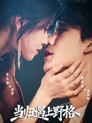 当归遇上野格（66集）千万短剧流量抢先看大结局