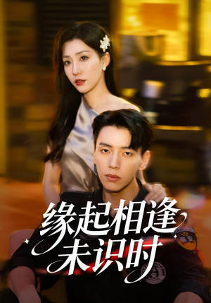 缘起相逢未识时（57集）穿越短剧免费看全集