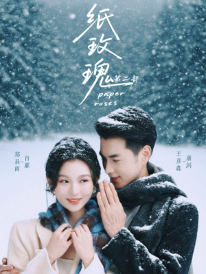 纸玫瑰第二部（80集）推荐热门短剧抢先看