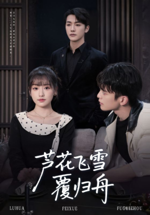 芦花飞雪覆归舟（77集）精彩短剧免费看