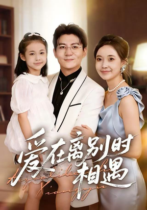 爱在离别时相遇（60集）口碑之选短剧免费看