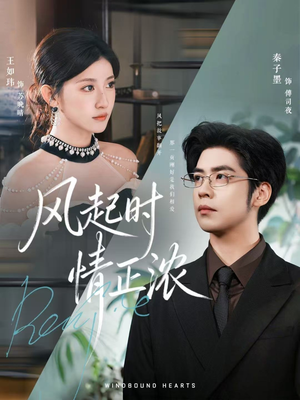 风起时情正浓（79集）喜欢追剧的看过来