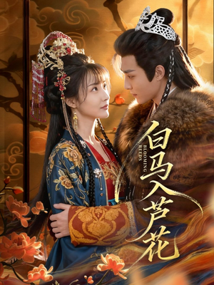 白马入芦花（59集）短剧终极大放送合集