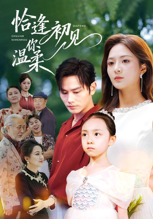 恰逢初见你温柔(86集) 恰逢初见你温柔(86集)一毛不花看完了整部短剧