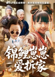 锦鲤崽崽爱拆家（80集）好看的短剧追到爽