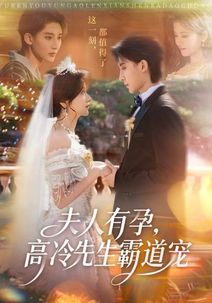 夫人有孕，高冷先生霸道宠（60集）好看上头的短剧