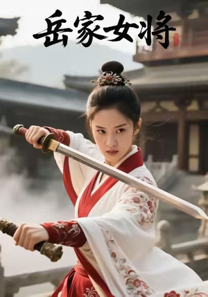 岳家女将（20集）热门短剧持续更新