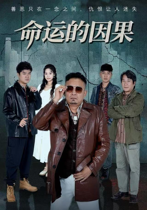 命运的因果（60集）精彩短剧热播中