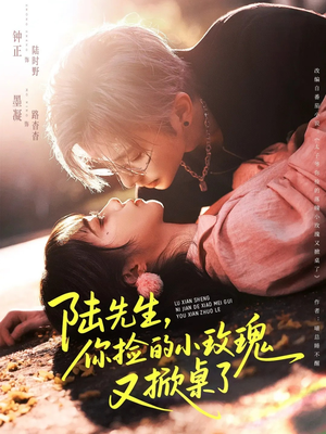 陆先生,你捡的小玫瑰又掀桌了(74集) 陆先生,你捡的小玫瑰又掀桌了(74集)短剧越看越想看系列