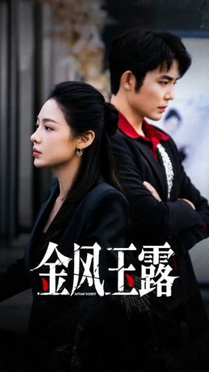 金风玉露（80集）西瓜视频海量短剧免费看