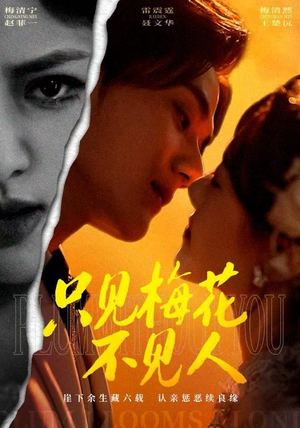 只见梅花不见人（63集）短剧追到爽全集完整版