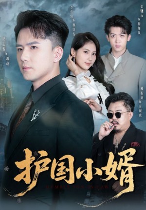 护国小婿（60集）短剧大结局完美收官