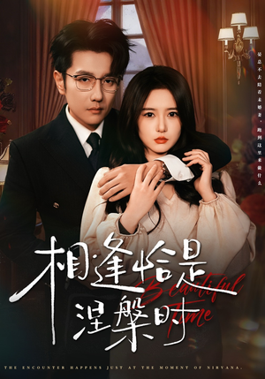 相逢恰是涅槃时（63集）短剧全剧终限免合集