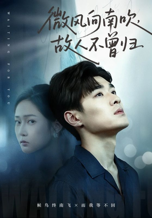 微风向南吹，故人不曾归（72集）终于可以免费看短剧了
