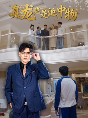 真龙岂是池中物（80集）短剧完整版免费