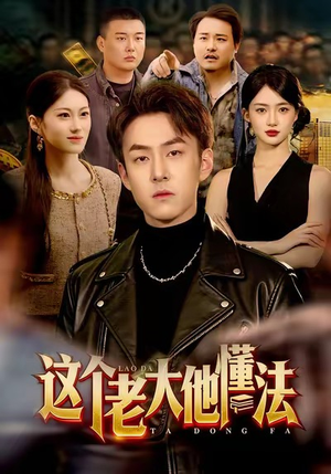 这个老大他懂法（100集）免费在线尽享全集短剧