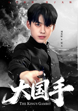 大国手（76集）热门短剧推荐推荐